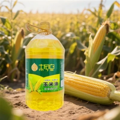 Pengenalan ringkas minyak jagung